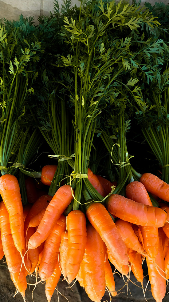 Пять полезных блюд из моркови