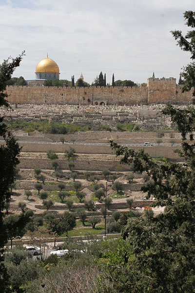 Вид на стены Иерусалима и Золотые Ворота из Гефсимании