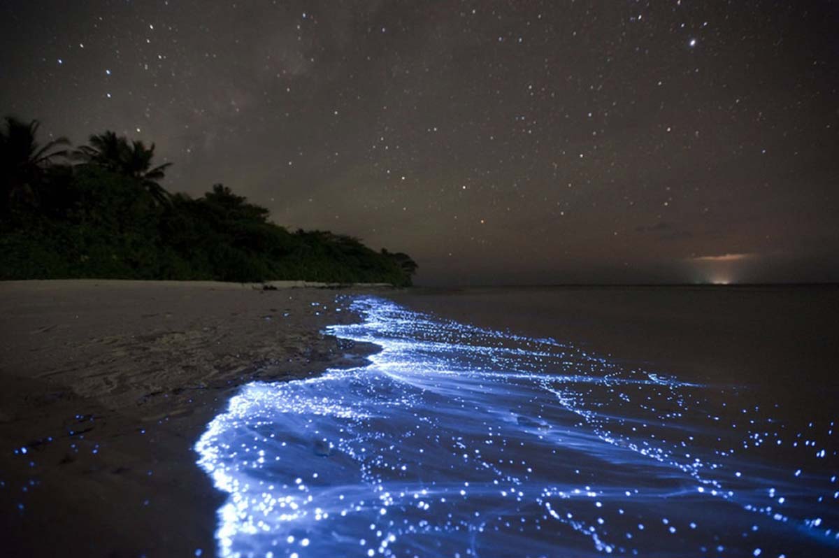 Светящийся планктон на острове Ваадху, Мальдивы