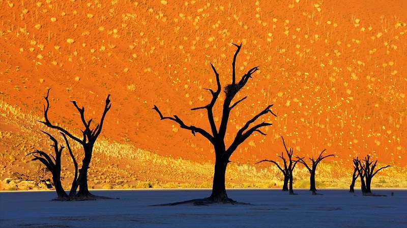 Мертвая долина, Намибия. Как с полотна Ван-Гога