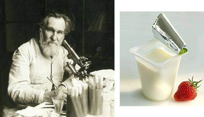Профессор Мечников - крестный отец йогурта