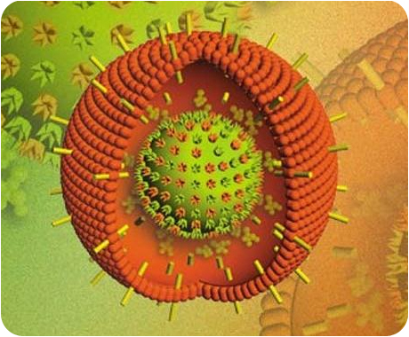 Вирус Эпштейна-Барр, вызывающий инфекционный мононуклеоз