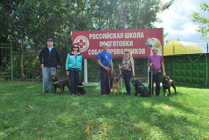 Российская школа подготовки собак-поводырей