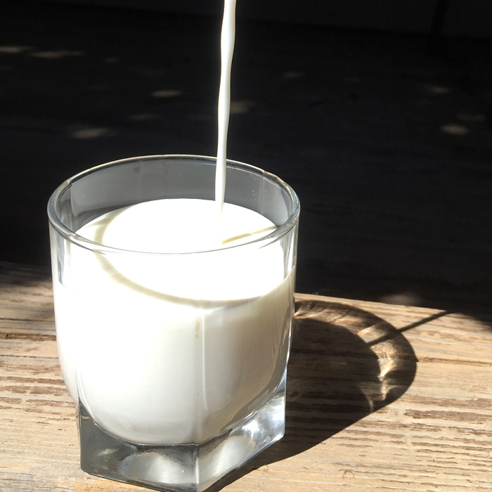Как правильно выбрать молоко и молочные продукты