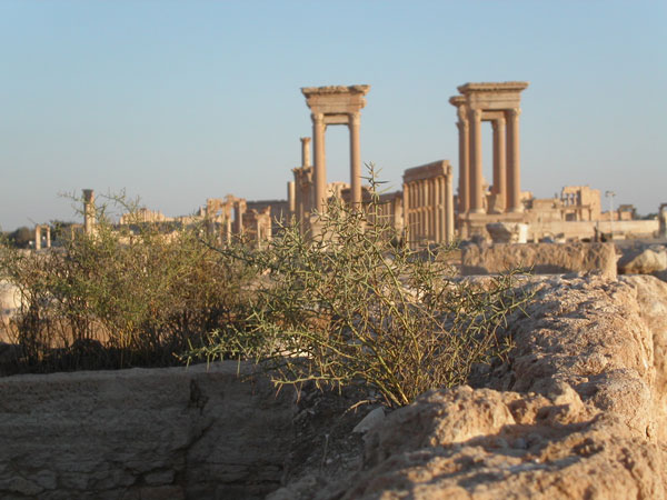 Пальмира. Тетрариум