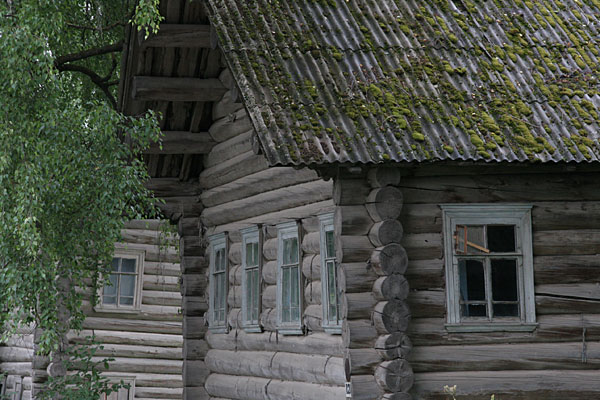 Избы деревни Конево