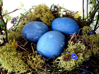 Яйца, покрашенные в настое капусты