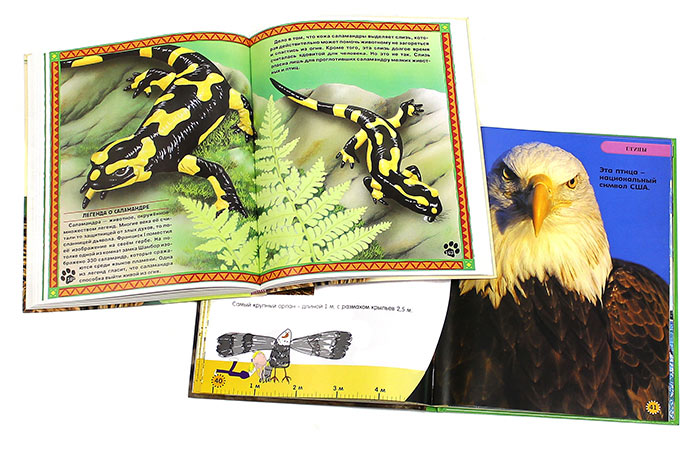 Книги для детей о животном мире