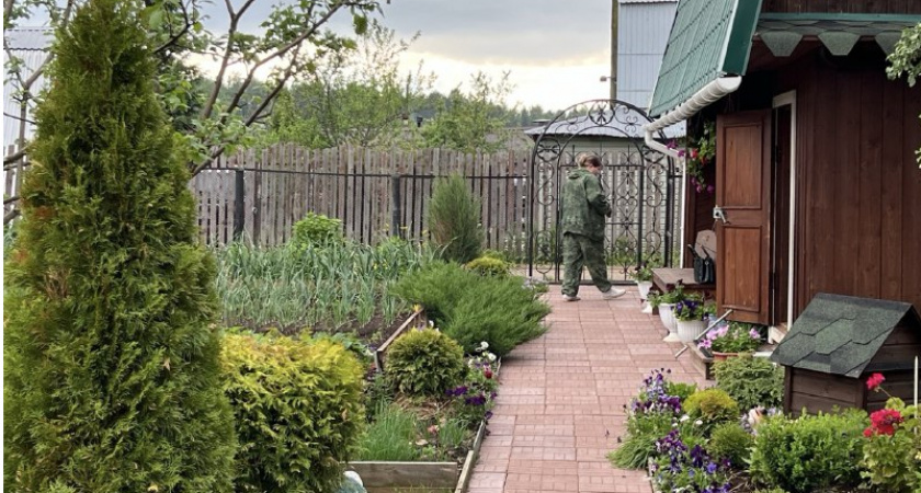 После 25 мая всегда закапываю тряпку на огороде — странный, но рабочий метод от французских фермеров