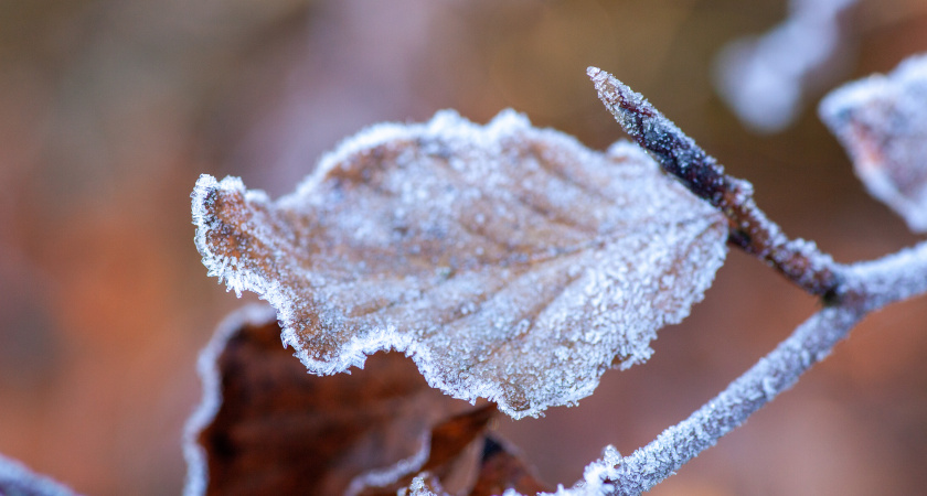 Как понять, что ребенок отморозил руки или щеки и что делать при этом?