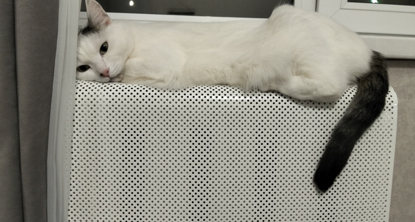 Радиаторы нагревают дом в разы медленнее, чем должны: один простой лайфхак возвращает мощность отоплению