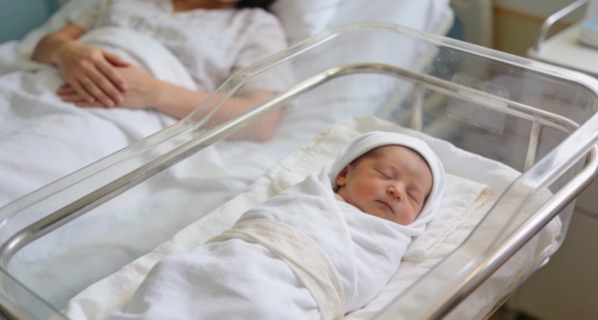 Павел Дуров оплатит ЭКО: как родить ребенка от основателя Telegram