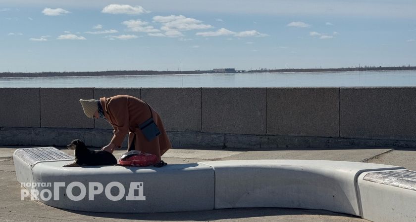 Взрослый ребёнок не хочет работать: как перестать его финансировать и не испортить отношения