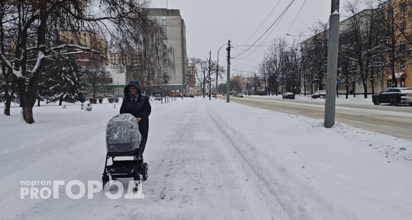 Третьему ребенку — 150 тысяч: вологжан приглашают получить новую региональную выплату