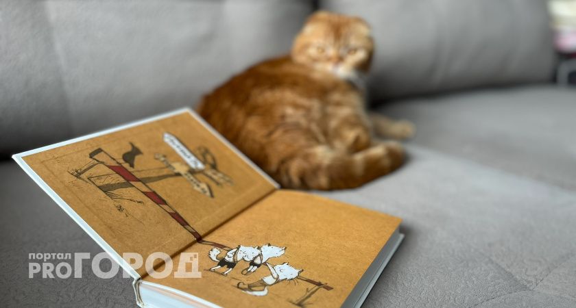 Не «Гарри Поттером» единым: 6 волшебных книг, от которых не оторвется начинающий читатель