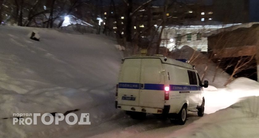 Суд оставил родительские права отцу из Ярославской области, убившего жену на глазах у сына