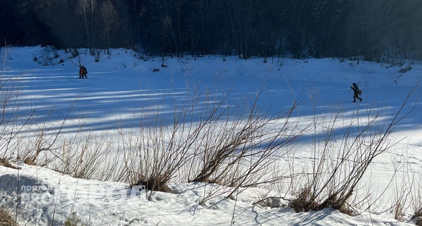 Больше 15 тысяч лунок прорубили спасатели в Брянске в поисках детей, провалившихся под лед