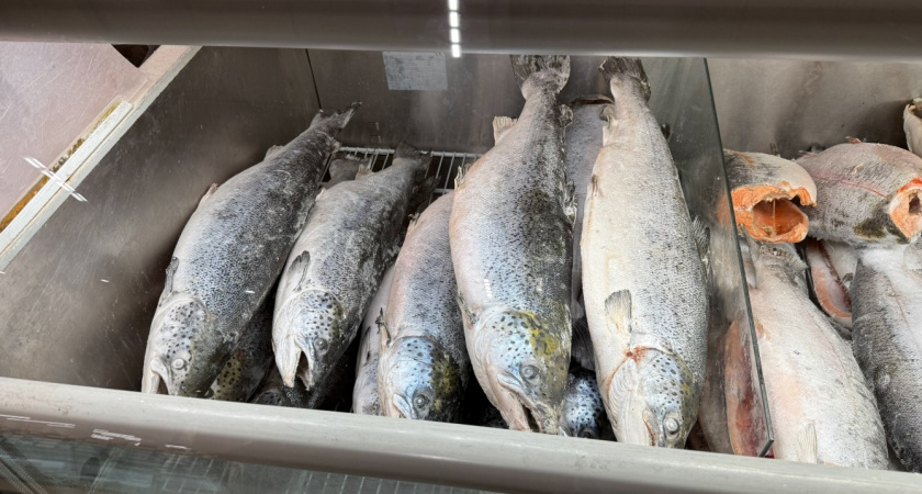 Можно ли есть молоки из рыбы на самом деле? Запомните раз и навсегда 