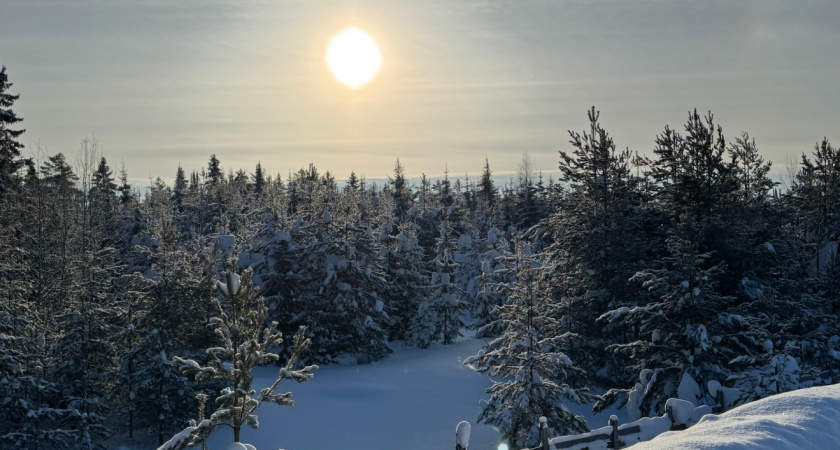 Астролог Хубелашвили назвала знаки-фавориты 2026 года: вот кому улыбнется удача, а кому нужно быть настороже