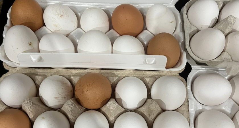 Больше не кладу яйца в холодильник - и вот почему: опытный продавец с рынка поделилась секретом