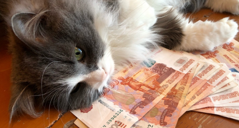 Некоторым россиянам придется вернуть часть пенсии государству: вот в каких случаях это потребуется 