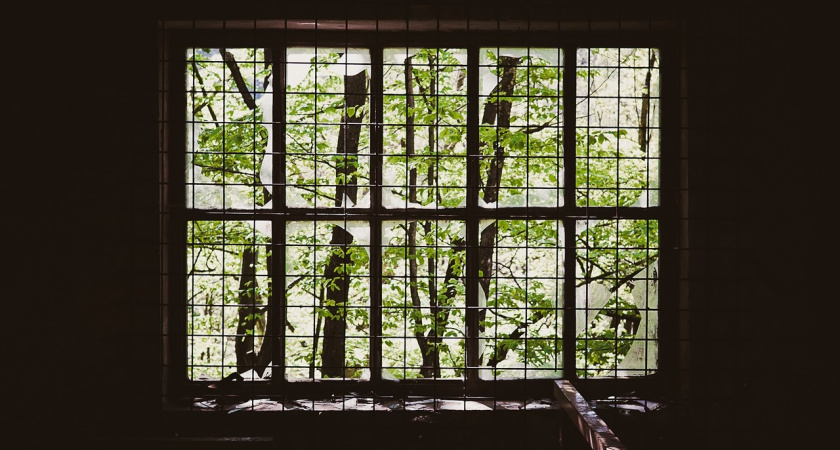 В США обнаружили девочку, которую родители годами держали в клетке: подробности шокирующей истории