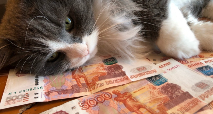 Названы 5 выплат, которые могут пропустить пенсионеры - вот кому положены 