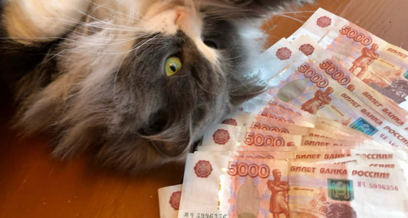 Будете купаться в деньгах: астролог назвал 1 знак зодиака, которого ждут несметные богатства с 23 февраля 