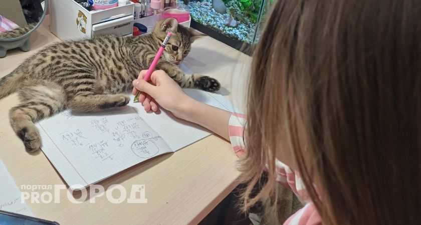 «Живот болит перед контрольной»: психосоматика у детей — когда тело говорит за психику