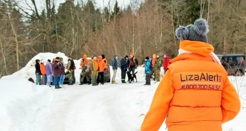 В «ЛизаАлерт» выделили ключевую ошибку родителей пропавших детей