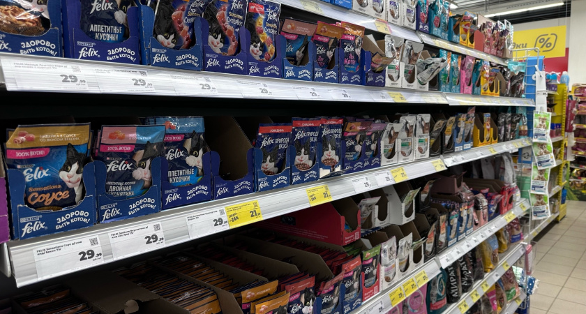 Смело берите - питомцу на пользу: влажные корма для кошек, одобренные Роскачеством