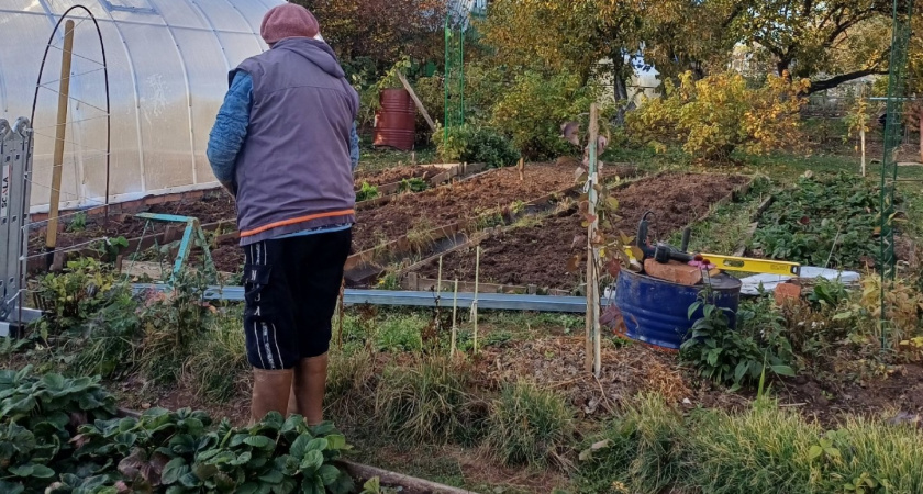 Эти культуры никогда не окупаются: сажать их в огороде - только время тратить. Запомните раз и навсегда