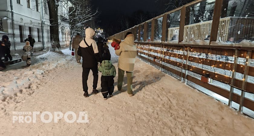 В ЛДПР предложили платить детские пособия семьям с доходом выше прожиточного минимума