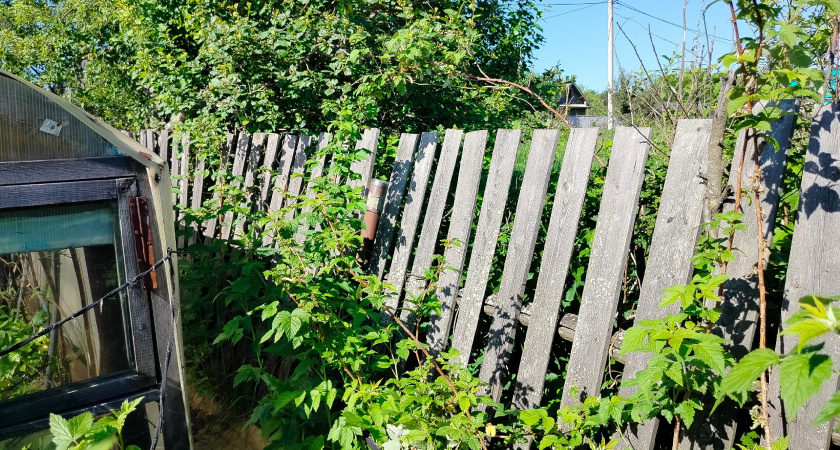 Уже с 1 марта у россиян начнут отбирать дачные участки: закон официально вступил в действие