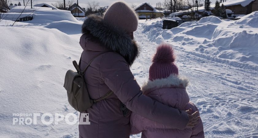В Красноярске приставы с боем вернули четырехлетнюю девочку маме