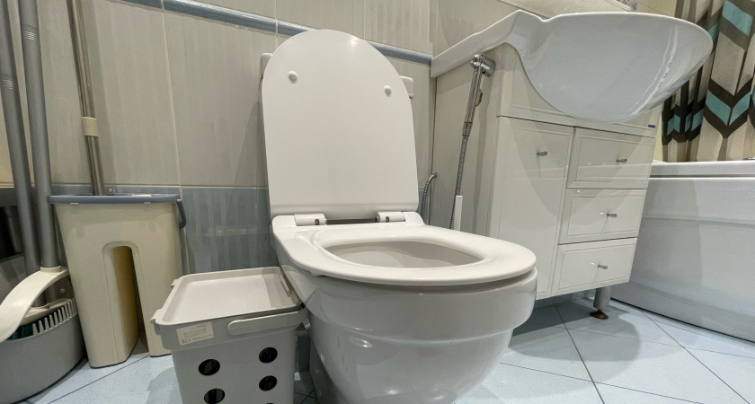 Чуть дар речи не потерял, узнав, зачем японцы садятся на унитаз лицом вперед: в этом есть логика