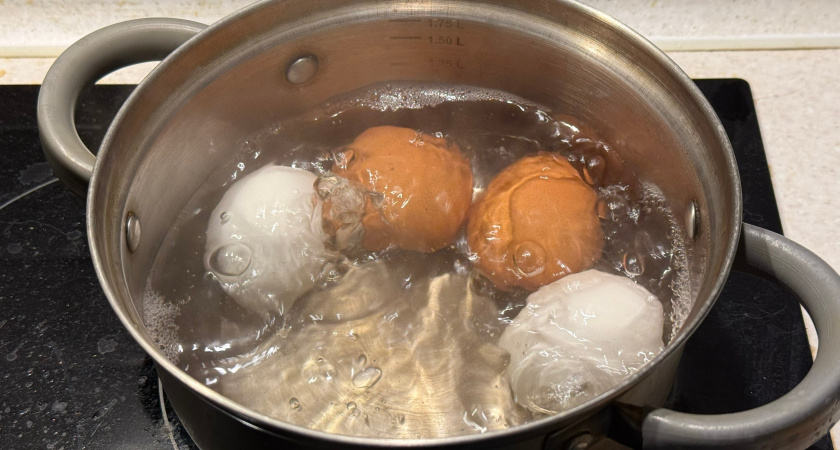 Какие яйца лучше красить на Пасху: белые или коричневые. Ошибка 90 % людей