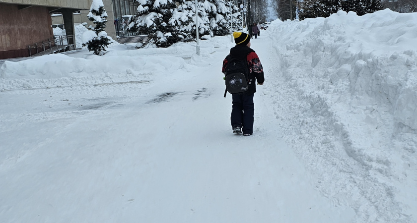В Госдуме предложили должникам по алиментам запретить регистрировать авто и открывать счета
