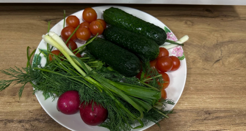 Не огурцы, а чудо: сорт, урожай которого собирают до Нового года - на столе всегда только свежие