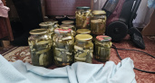 Каждое лето готовлю их тазами: шикарные маринованные огурцы по-фински на зиму — без стерилизации, идеальный хруст