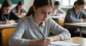 В Рособрнадзоре заговорили об изменениях в ЕГЭ по русскому языку