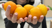 Продавцы терпеть не могут, когда покупатели это знают: как определить сладость мандарина по кожуре