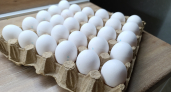 Лотки из-под яиц берегу как зеницу ока: в хозяйстве - самая нужная вещь