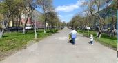Единое пособие: когда единственный родитель может иметь нулевой доход