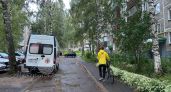 Бультерьер изувечил 12-летнюю девочку в Татарстане