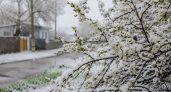 В последние дни мая нас ждет возвращение зимы: синоптики обещают до -2 градусов