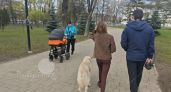 «Моя дочь предпочла своим детям мужчину, который бьет ее»: истории матерей, которые разочаровались во взрослых детях