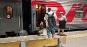Хвостатый рай по ГОСТу: как новый стандарт меняет правила отдыха с питомцами в России