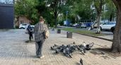 Болезни, которые могут переносить голуби: вот почему их нельзя трогать