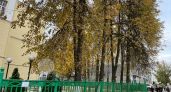 В 10-й класс берут не всех: когда директор может отказать в приеме и что делать родителям